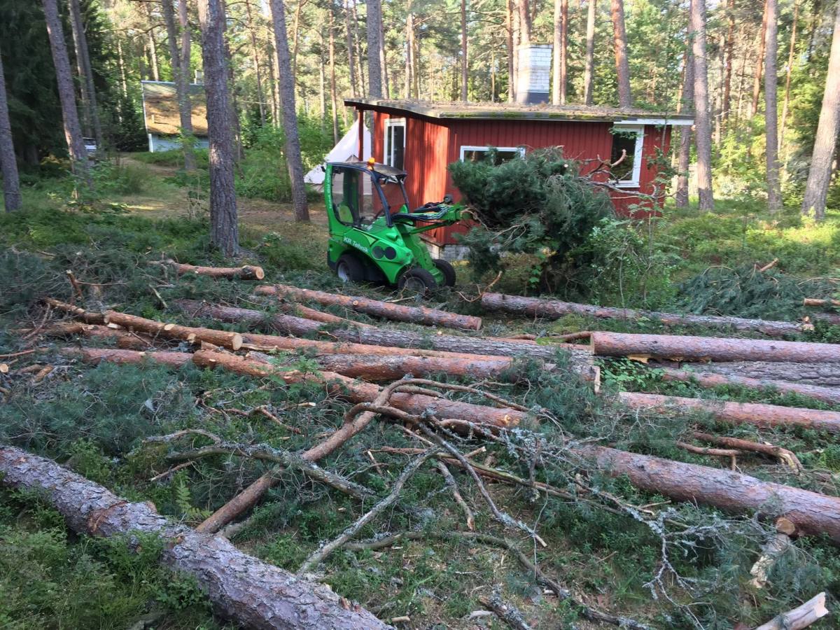 Platsi puhastus ja palkide vedu
